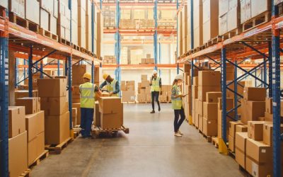 How a third-party logistics business improved their bottom line with an Interim Digital Transformation Director
